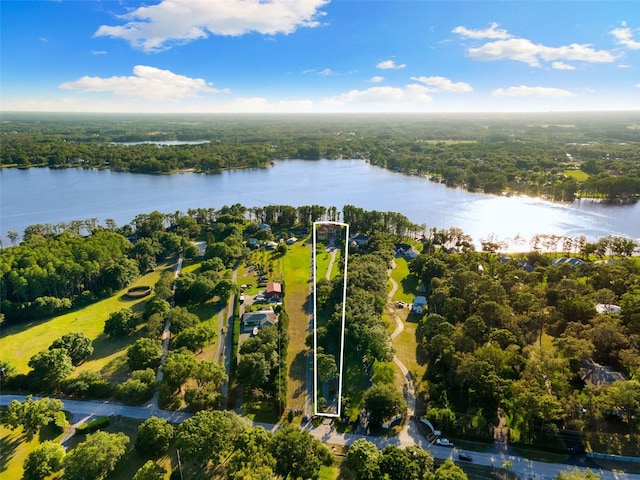 18258 Wayne Rd, Odessa, FL 33556 - aerial view of property's location with a large body of water, property parcel outlined, and a heavily wooded area