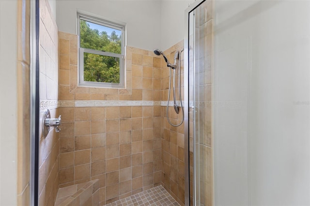 18258 Wayne Rd, Odessa, FL 33556 - bathroom featuring a shower stall