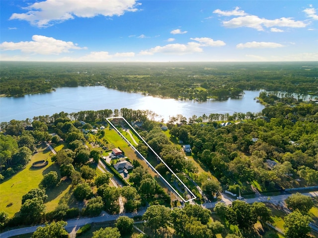 18258 Wayne Rd, Odessa, FL 33556 - aerial view of property's location featuring a nearby body of water, a heavily wooded area, and property boundaries highlighted