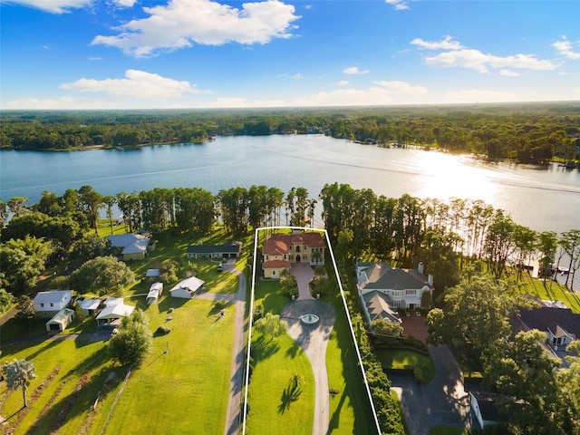 18258 Wayne Rd, Odessa, FL 33556 - aerial view of residential area featuring a nearby body of water, property parcel outlined, and a heavily wooded area