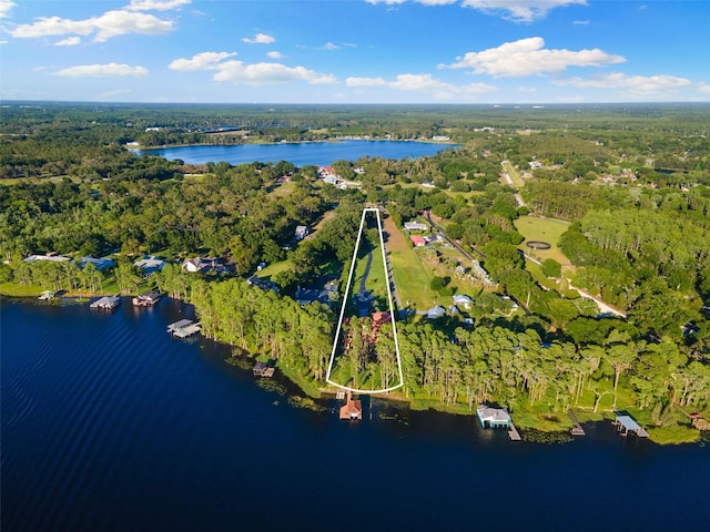 18258 Wayne Rd, Odessa, FL 33556 - aerial view of property and surrounding area featuring a heavily wooded area, a nearby body of water, and property boundaries highlighted