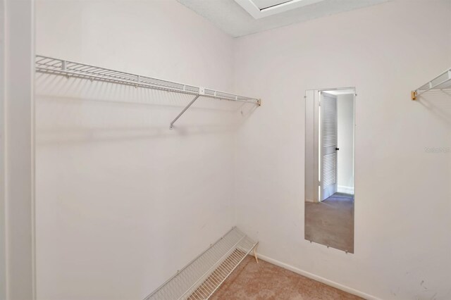 2593 Countryside Blvd Unit 7305, Clearwater, FL 33761 - spacious closet with carpet