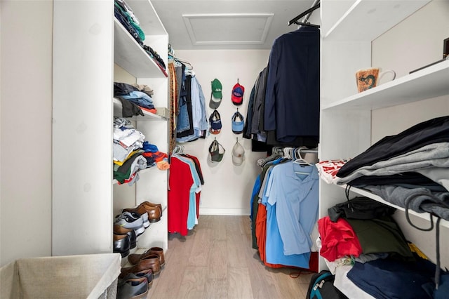 60 Lakeview Ct, Palm Harbor, FL 34683 - walk in closet featuring attic access and light wood-style flooring