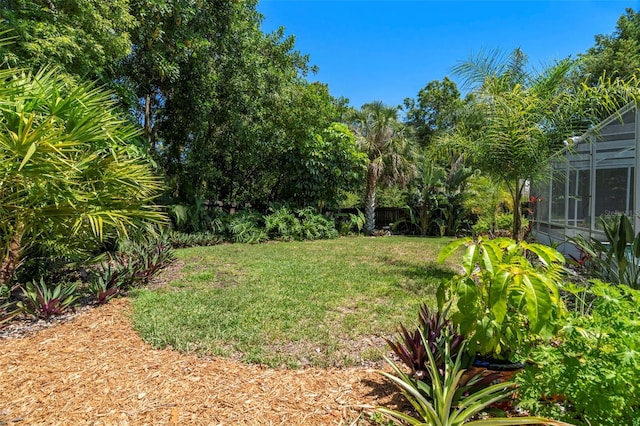 60 Lakeview Ct, Palm Harbor, FL 34683 - view of grassy yard featuring a lanai