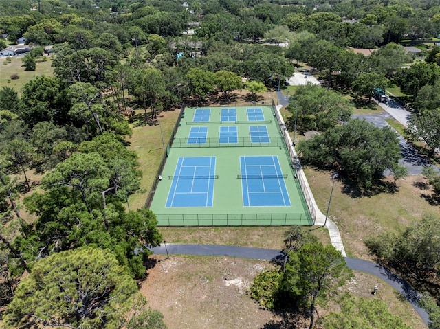60 Lakeview Ct, Palm Harbor, FL 34683 - drone / aerial view