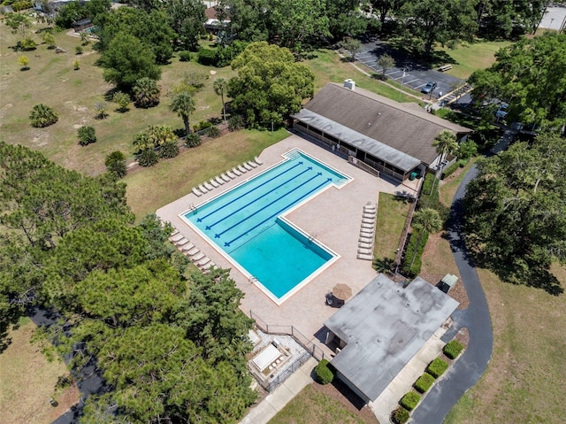 60 Lakeview Ct, Palm Harbor, FL 34683 - view of subject property featuring a pool and a tree filled landscape