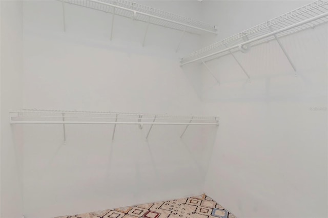 4234 Brentwood Park Cir, Tampa, FL 33624 - view of spacious closet
