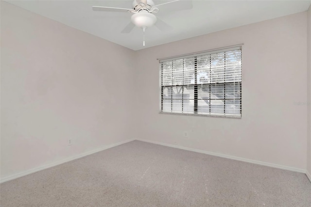 4234 Brentwood Park Cir, Tampa, FL 33624 - carpeted empty room with baseboards and a ceiling fan