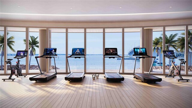 805 S Gulfview Blvd Unit 602A, Clearwater, FL 33767 - gym featuring hardwood / wood-style floors