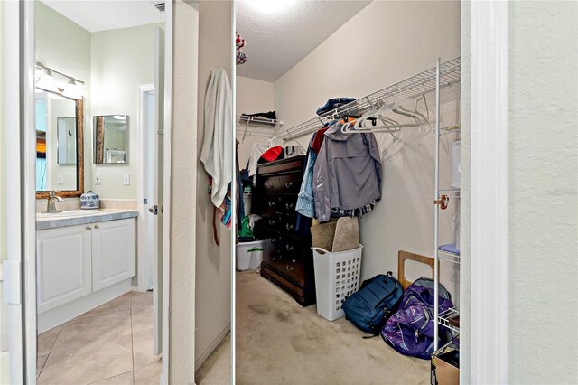 2773 Via Cipriani Unit 1310A, Clearwater, FL 33764 - spacious closet with a sink and light colored carpet