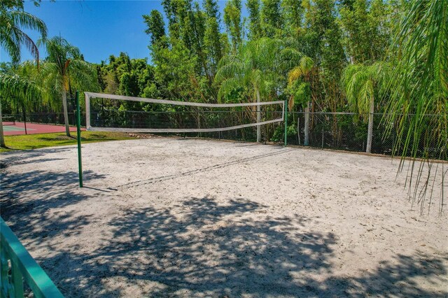 2773 Via Cipriani Unit 1310A, Clearwater, FL 33764 - surrounding community with volleyball court