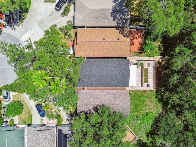 2742 Wilson Ct, Palm Harbor, FL 34684 - view of subject property