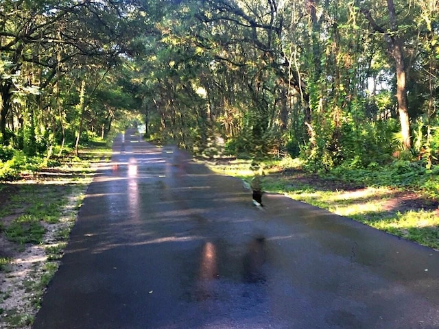 8701 Lake Calm Ln, Odessa, FL 33556 - view of street