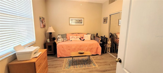 834 Tremont Greens Ln Unit 137, Sun City Center, FL 33573 - bedroom with light wood-style floors