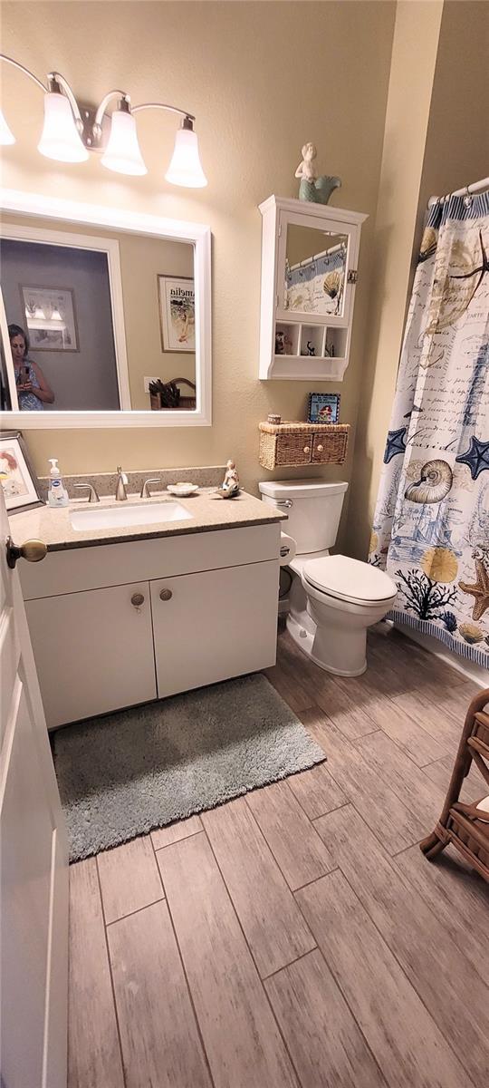 834 Tremont Greens Ln Unit 137, Sun City Center, FL 33573 - full bath featuring wood finished floors, toilet, and vanity