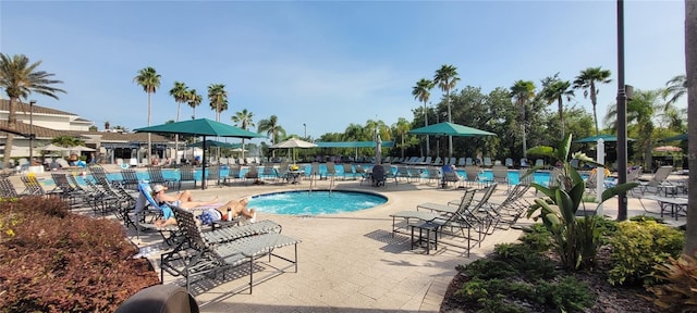 834 Tremont Greens Ln Unit 137, Sun City Center, FL 33573 - community pool with a patio