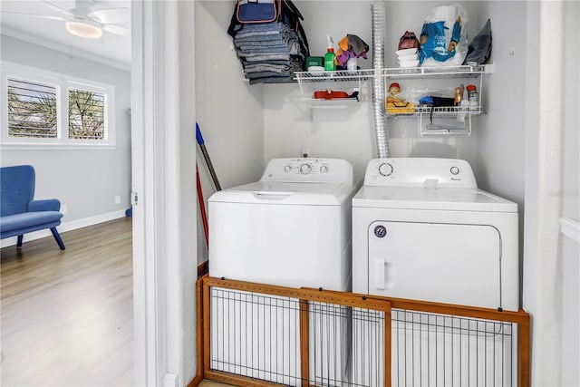 6309 Newtown Cir Unit 9B2, Tampa, FL 33615 - laundry room with washer and clothes dryer, wood finished floors, baseboards, crown molding, and ceiling fan