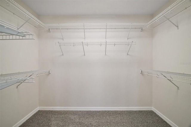 9755 SE 176th St, Summerfield, FL 34491 - walk in closet featuring carpet flooring