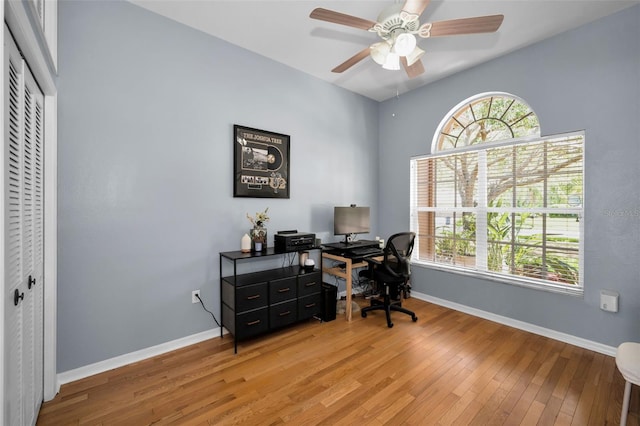 1516 E Lake Woodlands Pkwy, Oldsmar, FL 34677 - office space featuring light wood-type flooring, healthy amount of natural light, baseboards, and a ceiling fan