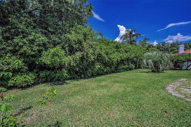 1516 E Lake Woodlands Pkwy, Oldsmar, FL 34677 - view of green lawn
