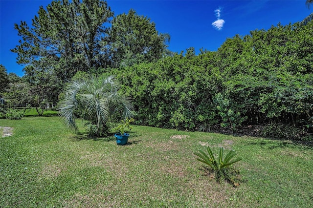1516 E Lake Woodlands Pkwy, Oldsmar, FL 34677 - view of green lawn