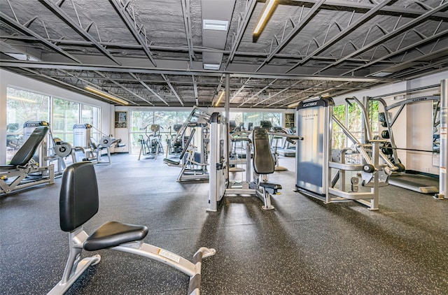 1516 E Lake Woodlands Pkwy, Oldsmar, FL 34677 - view of workout area
