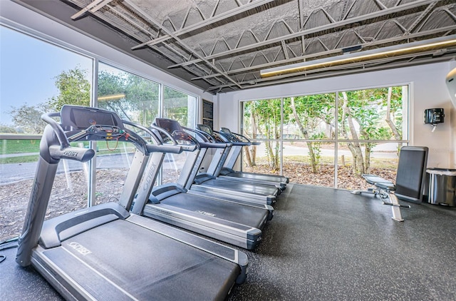 1516 E Lake Woodlands Pkwy, Oldsmar, FL 34677 - view of exercise room