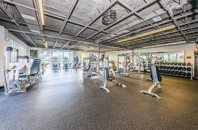 1516 E Lake Woodlands Pkwy, Oldsmar, FL 34677 - view of workout area