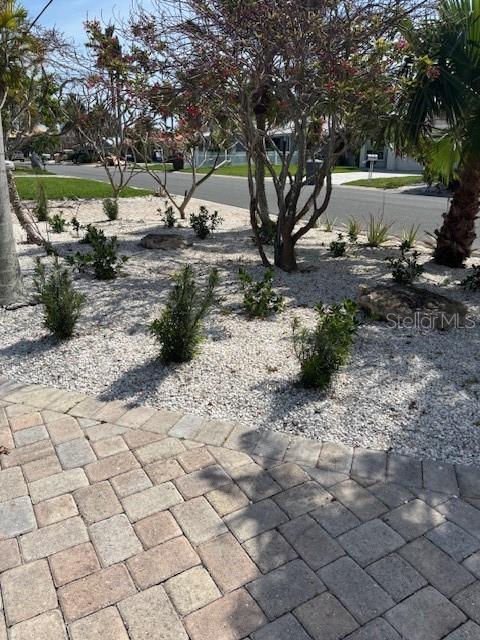 12055 4th St E, Treasure Island, FL 33706 - view of yard