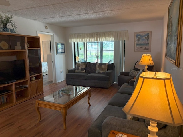 303 Meadow Ln, Oldsmar, FL 34677 - living area with wood finished floors and a textured ceiling