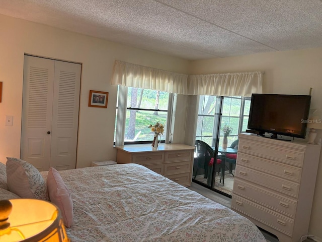 303 Meadow Ln, Oldsmar, FL 34677 - bedroom featuring multiple windows, a closet, and a textured ceiling