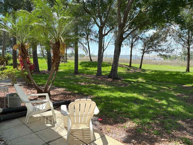 303 Meadow Ln, Oldsmar, FL 34677 - view of green lawn featuring a patio area