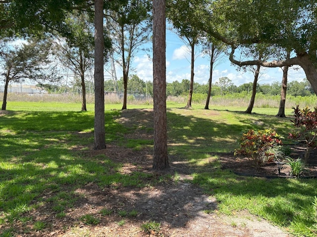 303 Meadow Ln, Oldsmar, FL 34677 - view of grassy yard