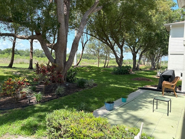 303 Meadow Ln, Oldsmar, FL 34677 - view of grassy yard