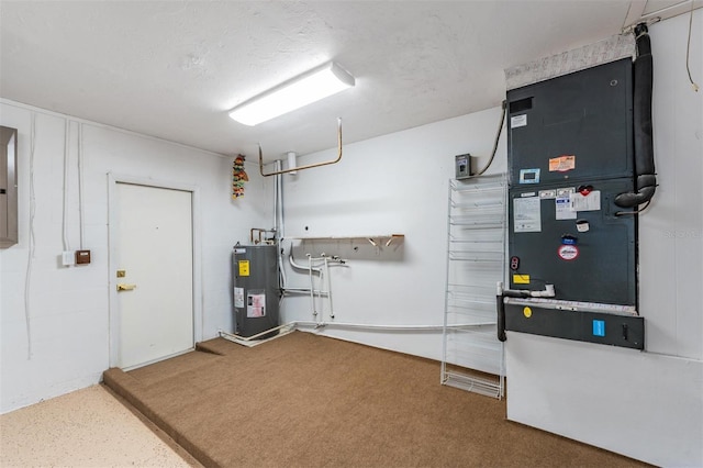 7607 22nd Ave W, Bradenton, FL 34209 - utilities with water heater and electric panel