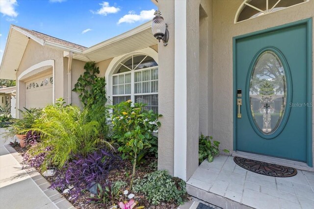 22852 Fern Ct, Land O Lakes, FL 34639 - photo 5