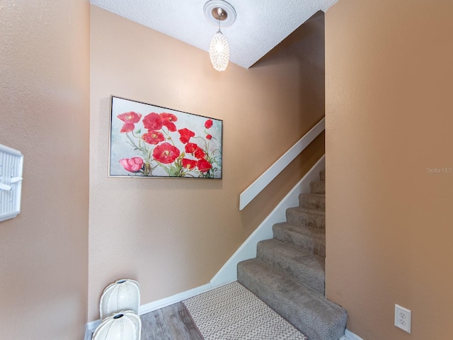 3455 Countryside Blvd Unit 101, Clearwater, FL 33761 - stairs featuring wood finished floors and baseboards