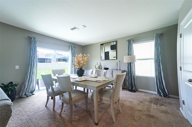 10826 Trailing Vine Dr, Tampa, FL 33610 - carpeted dining space featuring baseboards