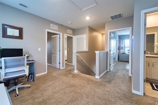 10826 Trailing Vine Dr, Tampa, FL 33610 - home office featuring light colored carpet, baseboards, and a sink