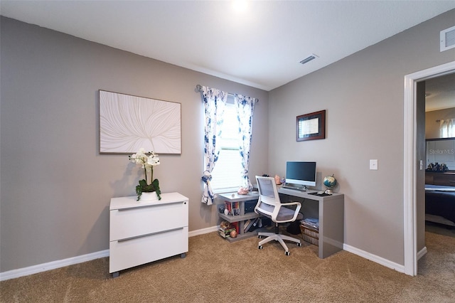 10826 Trailing Vine Dr, Tampa, FL 33610 - home office with carpet and baseboards
