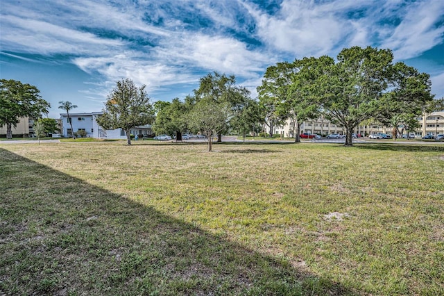 2073 Denmark St Unit 9, Clearwater, FL 33763 - view of grassy yard