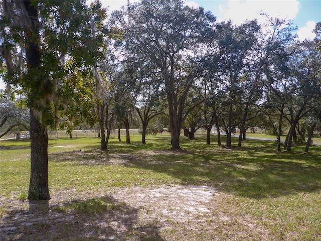 12271 Centralia Rd, Weeki Wachee, FL 34614 - view of yard