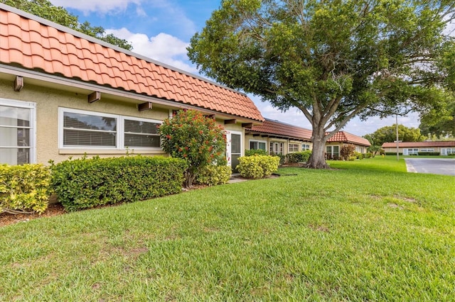 1701 Pinehurst Rd Unit 9G, Dunedin, FL 34698 - view of grassy yard