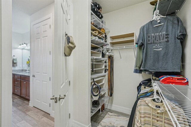 19183 Coastal Shore Ter, Land O Lakes, FL 34638 - spacious closet featuring a sink and light wood-type flooring