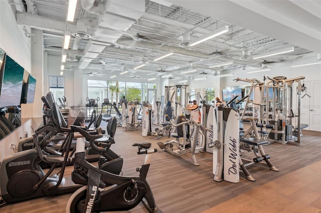 19183 Coastal Shore Ter, Land O Lakes, FL 34638 - workout area with carpet floors