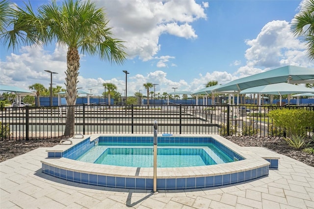 19183 Coastal Shore Ter, Land O Lakes, FL 34638 - view of pool