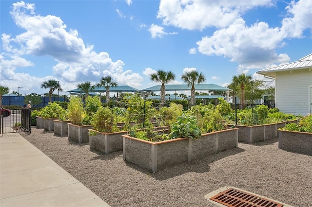 19183 Coastal Shore Ter, Land O Lakes, FL 34638 - view of patio / terrace featuring a garden