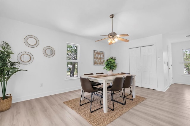 2807 57th St S, Gulfport, FL 33707 - photo 9