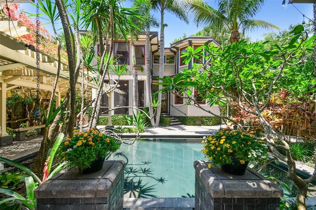 3112 W Wallcraft Ave, Tampa, FL 33611 - view of outdoor pool