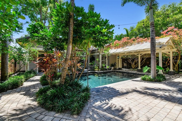 3112 W Wallcraft Ave, Tampa, FL 33611 - outdoor pool with a gazebo and a patio